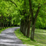 allee-email