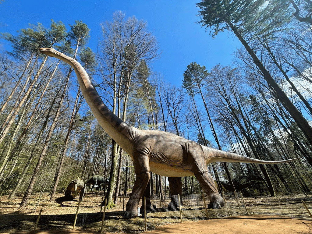 Ausflugsziel Styrassic Park Bad Gleichenberg