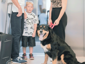Urlaub mit Hund für die ganze Familie - Reisen mit Hunden