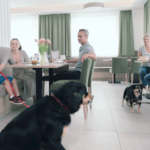 Frühstücksbuffet für Familie und Pärchen mit Hund - Reisen mit Hunden
