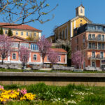 BG Frühling1_1